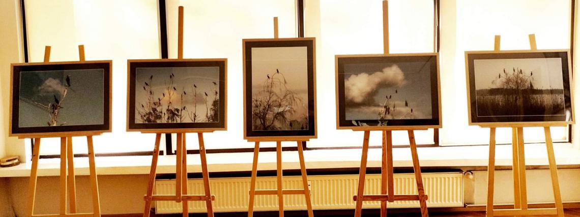 Wystawa fotografii pt. "Ptaszory" autorstwa Ziemowita Kalkowskiego.